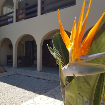 Santo Quintal Hostelウバトゥバ エクステリア 写真